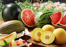 Kavun, Karpuz